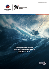 Business Confidence Survey 2025